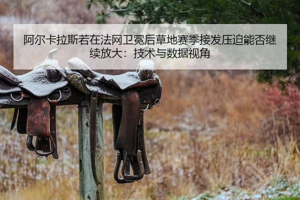 a-er-ka-la-si-ruo-zai-fa-wang-wei-mian-hou-cao-di-sai-ji-jie-fa-ya-po-neng-fou-ji-xu-fang-da-ji-shu-yu-shu-ju-shi-jiao-1-783.jpg