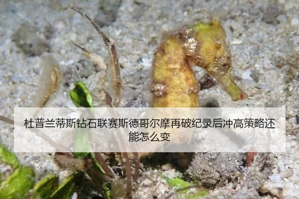 du-pu-lan-di-si-zuan-shi-lian-sai-si-de-ge-er-mo-zai-po-ji-lu-hou-chong-gao-ce-lve-hai-neng-zen-me-bian-2-747.jpg