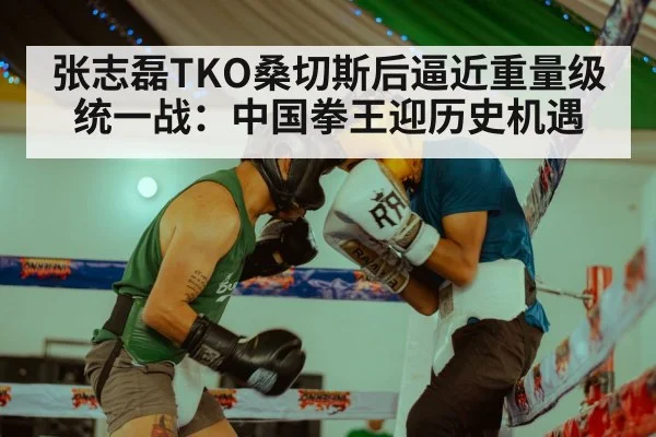Zhang Zhilei boxing